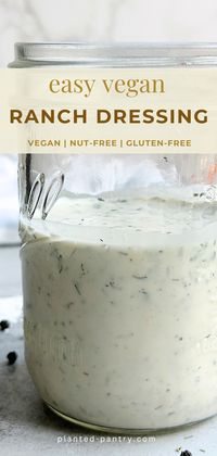 This Homemade Vegan Ranch Dressing will have you skipping the dressing aisle on your next trip to the grocery store. It is SO easy and totally irresistible.