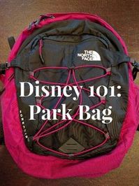 First things first – what is a park bag? My family tells me I use too much Disney jargon, so I want to make sure I am explaining myself well. A park bag is a bag (I use a backpack) ... Read more