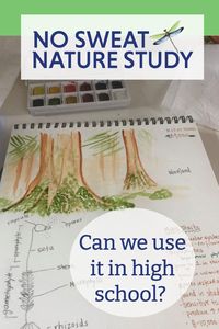 Many parents ask, "Can I use No Sweat Nature Study in high school?" The short answer is yes, see why and how in this explanation.