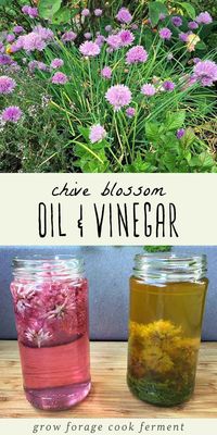 If your chives are blooming with many flowers, make this chive blossom oil and vinegar. It's an easy infusion recipe, and perfect for making salad dressings! #infusion #edibleflowers