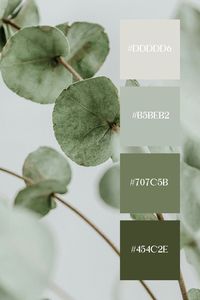 This pastel green palette features delicate eucalyptus leaves in soft, muted shades of pastel green, creating a calming and serene effect.