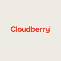 Cloudberry designed by Perky Bros. #wordmark #branding