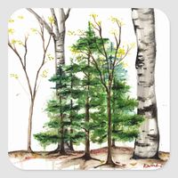 An original watercolor painting of aspens and evergreens printed on a sticker, artist Kristina Anderson