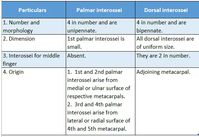 Muscles Of The Anterior Forearm - Anatomy Study Guide