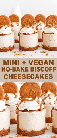 How to make mini biscoff cheesecakes. Vegan, no-bake, no-egg, no-dairy!