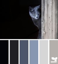 cat tones - never been much of a blue person, but really like these.  Not sure if it is really the colors or the cat picture though