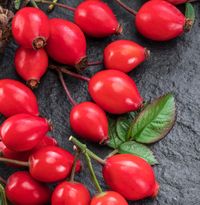 Rosehips for Free Vitamin C