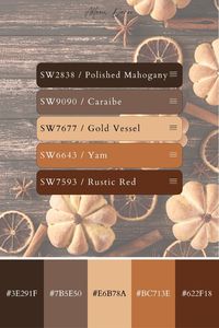 Finding the right fall color scheme can be tough with so many options. My blog post offers autumn palettes that will bring warmth and charm to your home. Hex codes and Sherwin-Williams paint matches are provided to make the process smooth. Save this pin for when you're ready to start decorating.