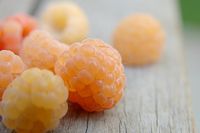 I want to try golden raspberries! They are more delicate in flavor with a hint of honey. Lovely photo by "the workroom," from his/her garden.