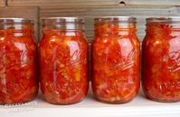 Red Pepper Relish Canning Recipe | Great Lakes Prepping