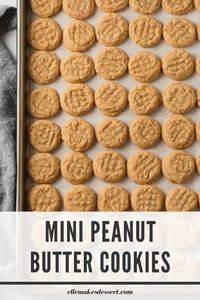 Mini Peanut Butter Cookies are adorable at only 1.5" in diameter. They're perfect for snacking or a petite dessert. These tiny cookies are soft, chewy, and rich in peanut butter goodness. Skip the electric mixer – the softened butter blends easily with the sugar.