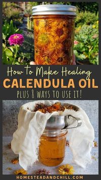 Calendula is a magical plant! When turned into an oil, it can be applied topically to soothe dozens of skin ailments, including acne, eczema, wounds, burns, rashes, and more! Read along to learn how easy it is to make your own calendula oil at home. We'll discuss different carrier oil options, and 8 ways to use calendula oil!