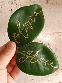 Leaf calligraphy place cardsThe Camelia leaves are hand personalised by a professional calligrapher using gold ink.There are varying calligraphy styles available.The Camelia leaf is of a shiny waxy nature and has a long shelf life perfect for a wedding or event. It is a environmentally friendly option compared to using paper.The Camelia leaf and calligraphy is included in the price.All commissions are completed in our artist studios in LondonDue to the nature of the leaves they come in varying s