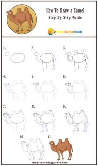 A Step By Step Drawing Guide About How To Draw a Camel