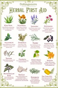 Discover the essential herbs to include in your herbal first aid kit for natural healing. From soothing burns with Aloe Vera to relieving headaches with Lavender, these top herbs provide natural remedies for minor cuts, scrapes, bruises, and more. Elevate your first aid game with the power of nature! 🌱 #HerbalRemedies #NaturalHealing #FirstAid #HerbalMedicine #Wellness #DIYFirstAid #NaturalLiving