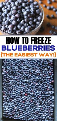 Got a load of blueberries that you need to store? Find out how to freeze blueberries--the easiest way! It's also the easiest way to store blueberries so you can enjoy their deliciousness all year round! #preparedness #foodstorage #foodstorageideas #howtofreezeberries #howtofreezefreshfruit #howtostoreberries