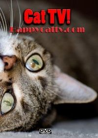 Happy Cat TV Cat Sitter DVD Review http://www.floppycats.com/happy-cat-tv-cat-sitter-dvd-review.html