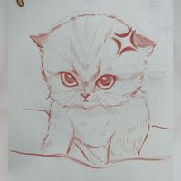 #sketch #sketchbook #sketching #cat#cutecat #drawing #angry #мемы #мем #котики