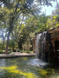 Dallas Arboretum and Botanical Garden - Dallas, TX (2023) / destinydmnq