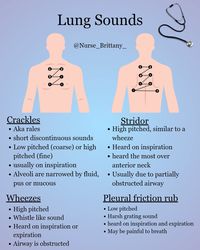 Reference for lung sounds. This graphic shows you where to listen to anterior and posterior lung sounds. There is also an in depth description of possible findings (crackles, wheeze, etc.). The digital download will not contain the tag @Nurse_Brittany_.