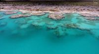 bacalar estromatolitos - Google Search