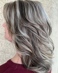 Gray Blending with Dark Brown Lowlights