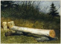 Jamie Wyeth . Moring Log . Watercolor on paper . Contemporary Realism