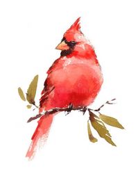 Cardinal Bird Watercolor Winter Illustration Hand Drawn Stock Illustration - Illustration of branch, background: 63225679