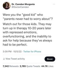 Fun fact: the "good kid" isn't allowed to have problems or express feelings! Because they are too busy being expected to solve everyone else's problems by being an unlimited free therapist, ATM, and troubleshooter.