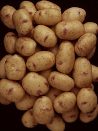 Kestral Potatoes