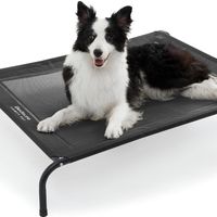 Bedsure Large Elevated/Raised Pet Cots Bed w Skid-Resistant Feet for Large Dogs