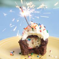 Bake It in a Cake • The Ultimate Birthday Cake Cupcakes - mini sprinkle cupcakes baked inside chocolate cupcakes