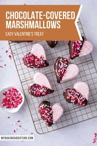 Chocolate-Covered Marshmallows