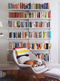 womb chair & bookshelves