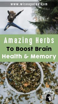 Today, we’re going to be shining a light on 4 great herbal superstars that support cognition and overall brain health. These natural herbs for brain health are incredible nootropics that have actually been used throughout the ages for healing and are scientifically proven to help increase mental clarity, focus, and sharpen your mind.