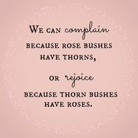 "We can complain because rose bushes have thorns, or rejoice because thorn bushes have roses." - Abraham Lincoln