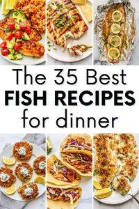 You are going to love these delicious and easy fish recipes! These are some of my favorite fish recipes, and they're all simple to make.