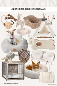 Some of my favorite aesthetic neutral dog finds on Amazon - Amazon pet, neutral dog accessories, best pet finds, Amazon finds for dog, neutral pet accessories