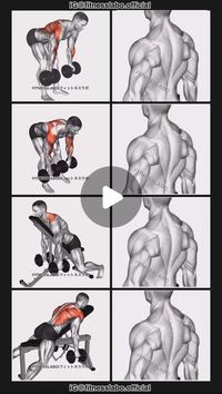 𝗙𝗜𝗧𝗡𝗘𝗦𝗦𝗟𝗔𝗕𝗢 on Instagram: "✅ Trap Workout using Dumbbell 

① Reverse Grip Bent Over Row
② Bent Over Face Pull
③ Seated Shrug 
④ Incline Row
3 sets 12 reps 

#fitness
#gym
#exercise 
#workout
#workoutroutine 
#exercisetips 
#fitnesstips 
#bodybuilding 
#backworkout"