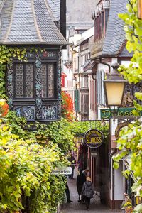 Street view, Rudesheim, Rhine valley, Hesse, Germany