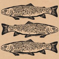 Trout linocut blocks #troutfishing