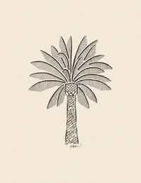 Black on beige background. Canary palm tree. Hand drawn in pen and ink before digitalized #tattoodesign #tattooink #tattooideas #tattooart #femaleartist #originalart #natureinspired #sustainablebusiness #shopsmall #organicart #naturelovers #supportsmallbusiness #artoftheday #drawing #penandinkartt #penandink #instaart #penandinkdrawing #penandinktattoo #illustrator #procreate #graphicillustration #procreateart #illustrationart #illustration