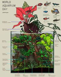 Happy World Aquarium Day! Here is the “Deep Dark Jungle” my first Aquascape tank i did from scratch. Since i moved to Canada in 2019, i always wanted to have a small aquarium just because i love them. 2023, i got my Canadian PR status so i decided to build one! (Impulsively) This tank definitely helps me with my stress and anxious day to day routine so definitely the best investment. #wad #worldaquariumday #2024 #ashiong #ashiongdraws —— Aquarium @waterboxaquariums Fish are from the amazin...