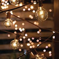 You'll light up the world with this stunning electric light string set. This Patio light string includes 40 G40 plastic bulbs each spaced 12-inches apart with a total lighted length of 39 feet. Safely powered by a UL-Listed, 6-inch long brown lead cord. This patio light set will glow softly and safely all night long and makes this light string the perfect indoor or outdoor accent for any season. Connect up to 90 light strings to decorate your home, inside or out. Chase away the darkness with these beautiful and energy-efficient light strings! | The Holiday Aisle® 40 Count Electric LED Patio Light Strings w / Clear G40 Bulbs, End To End Connectable Up To 90 Sets in Brown | 2 H x 1.5 W in | Wayfair