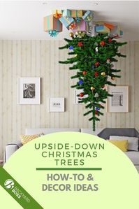 We're sorry to say that's not the case. Inverted Christmas trees have been adorning ceilings for centuries—at least 8 of them!—but we do appreciate the expansion of this old tradition into modern décor. Here are our very best upside-down tree tips for mounting, safety precautions, and decorations. Check them out!