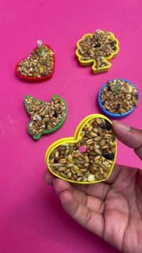 DIY birdseed ornaments 🦆 These ornaments are so easy to make, a perfect summer holiday activity! All you need to make your own bird feeders are: 2 packets of gelatine 1/4 cup of hot water 1/2 cup of bird seeds cookie cutters Mix 2 packets of gelatine with 1/4 cup of hot water and mix in a bowl Add 1/2 cup of bird seeds and stir the mixture thoroughly Fill cookie cutters with the mixture and press into shape Refrigerate for a few hours then remove the bird feeders from their molds and ...