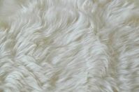 Leather Sub-Category: Hair on Hide Application: Upholstery Series: Plush Wool