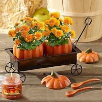 How cute is this for #Thanksgiving?! Just adorable! 20%off using GOBBLE20 for a limited time. #thanksgivinggifts