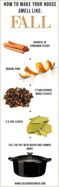 These 8 smell hacks are THE BEST! I'm so happy I found these GREAT tips! Now I can make my home smell like Fall and the holidays! Definitely pinning for later!