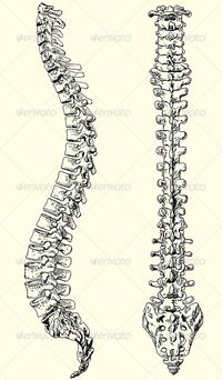 i want a spine with an A.S. ribbon wrapped around it